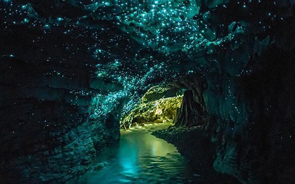 守护飞行城堡